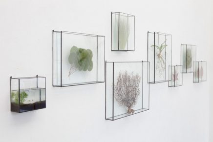 buik hybride verfrommeld Glazen display doosjes aan de muur | Inrichting-huis.com