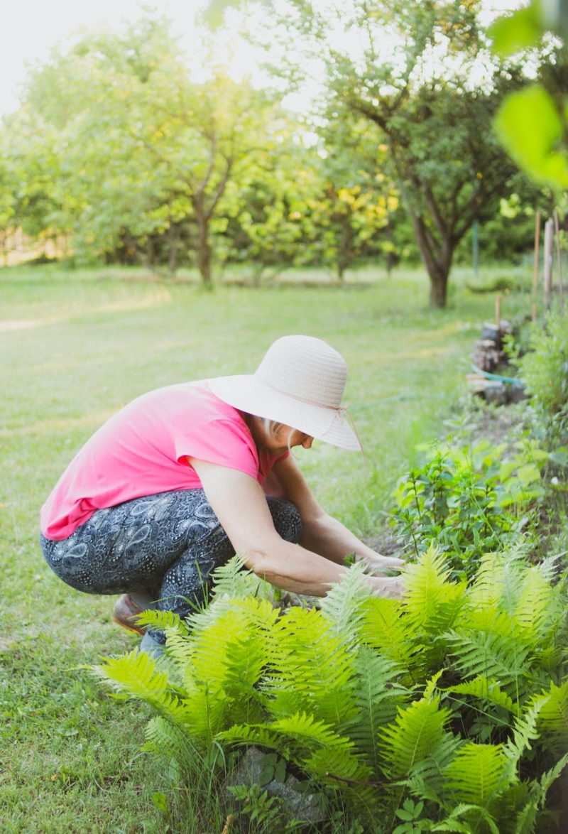 In een grote tuin hoort natuurlijk ook een grote plantenborder.