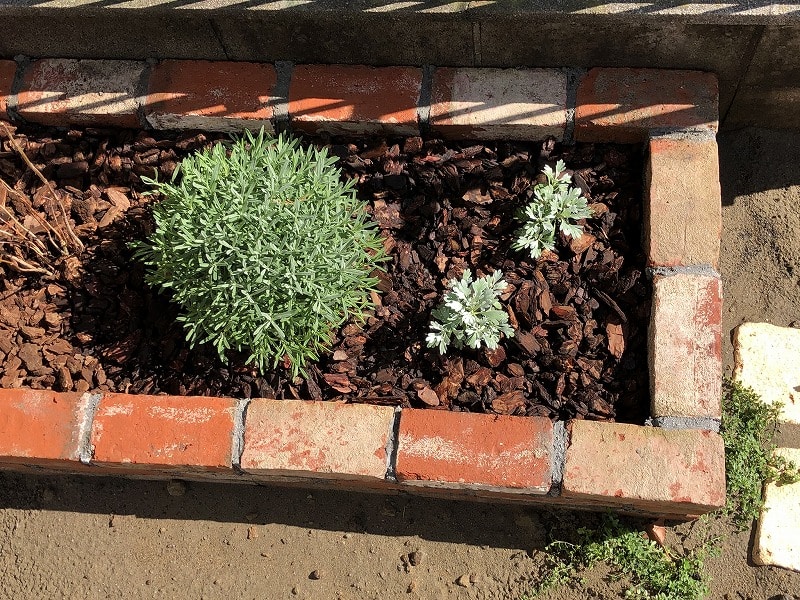 plantenbak van steen de juiste hoogte