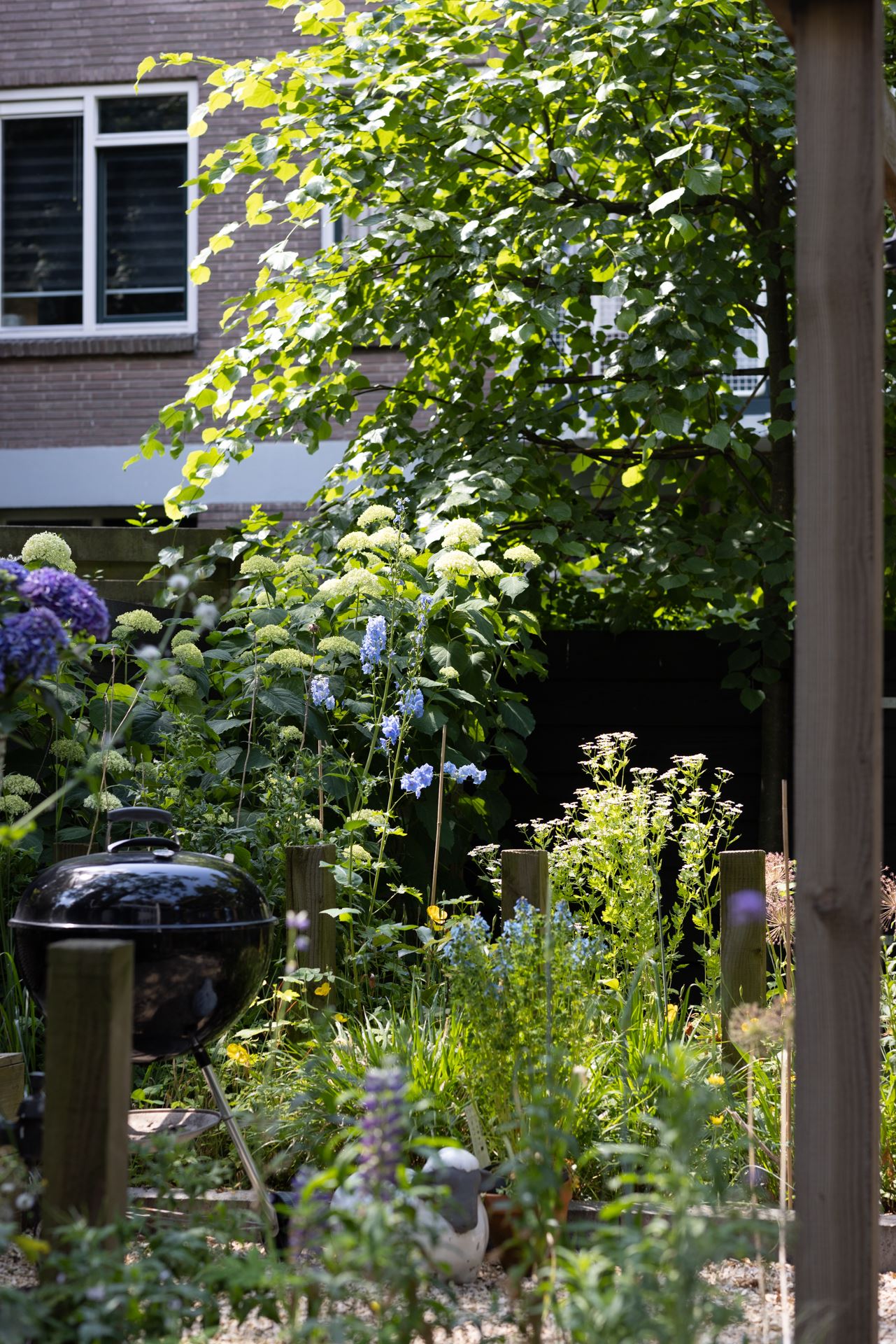 plantenborder borderpakket